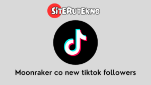 Moonraker co new tiktok followers.png
